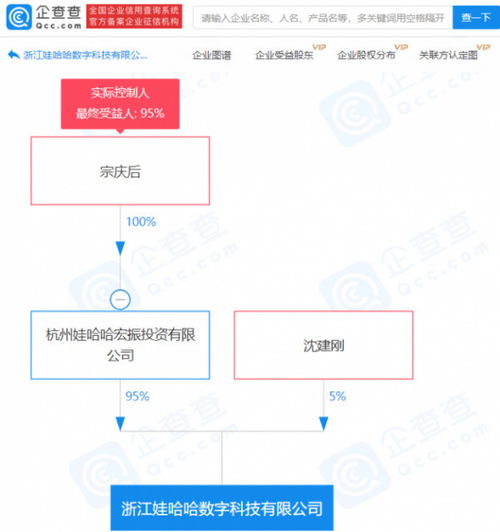 計算機技術(shù)服務 驅(qū)動數(shù)字化時代的核心力量