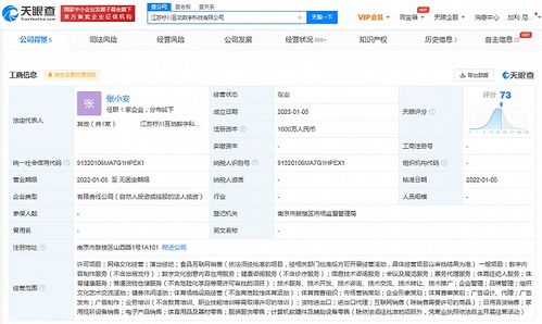 蘇寧布局數字科技新賽道 成立科技公司，涉足演出經紀與數字內容服務
